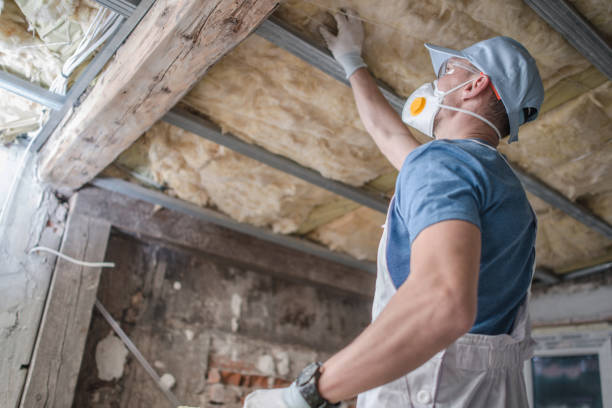 Best Eco-Friendly Insulation in Mandeville, LA