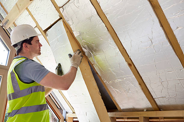 Best Eco-Friendly Insulation in Mandeville, LA