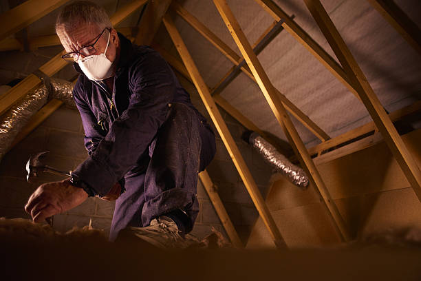Best Geographic-Specific Insulation Services in Mandeville, LA