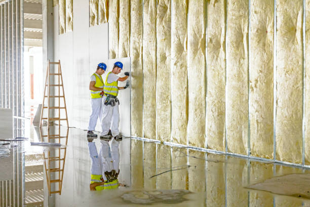 Types of Insulation We Offer in Mandeville, LA